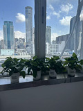 办公室照片